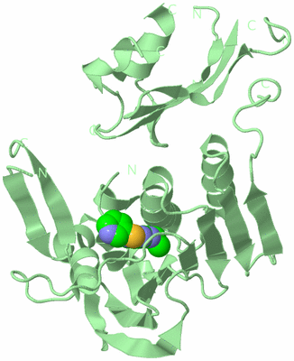 Image Biological Unit 2