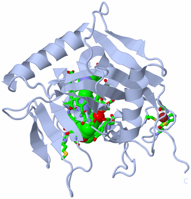 Image Biol. Unit 1 - sites