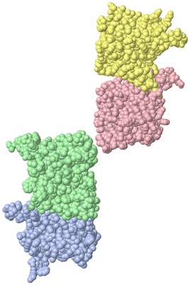 Image Asymmetric Unit