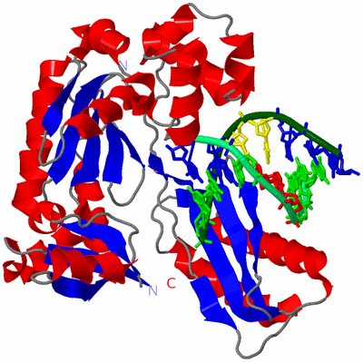 Image Asym./Biol. Unit