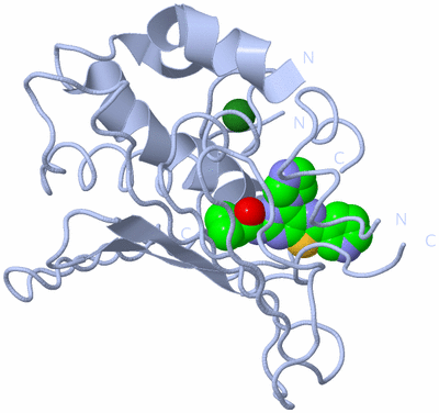 Image Biological Unit 1