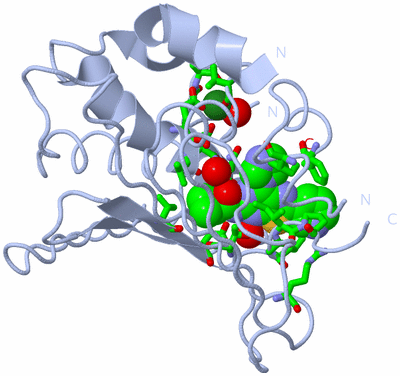 Image Biol. Unit 1 - sites