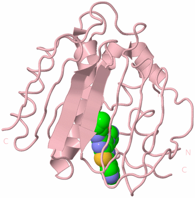 Image Biological Unit 3