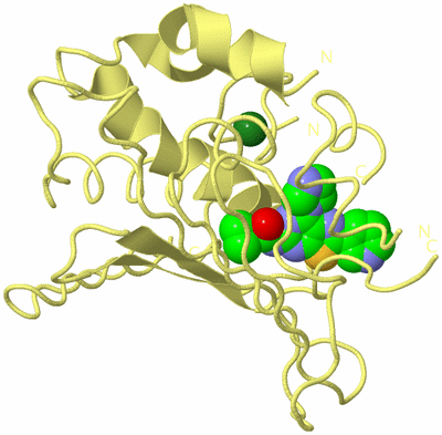 Image Biological Unit 4