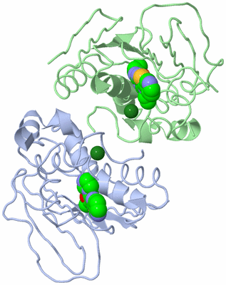 Image Biological Unit 5