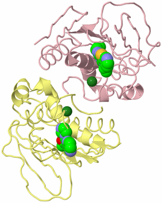 Image Biological Unit 6