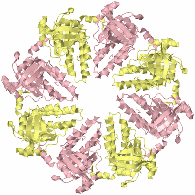 Image Biological Unit 2