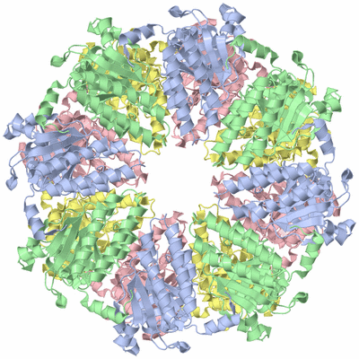 Image Biological Unit 3