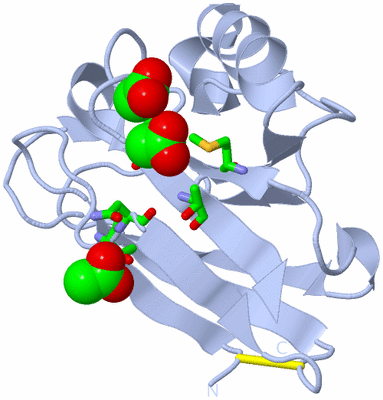 Image Biol. Unit 1 - sites