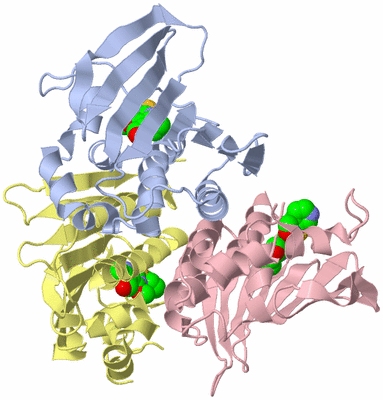 Image Biological Unit 10