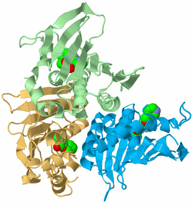 Image Biological Unit 11