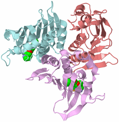 Image Biological Unit 12