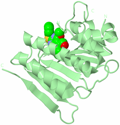 Image Biological Unit 2