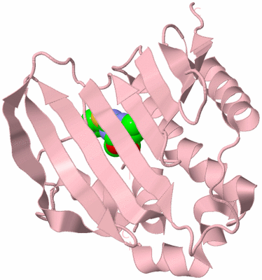 Image Biological Unit 3