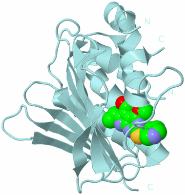 Image Biological Unit 6