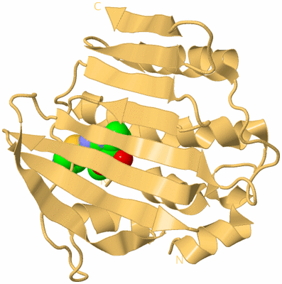 Image Biological Unit 7