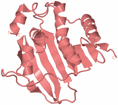 Image Biological Unit 8