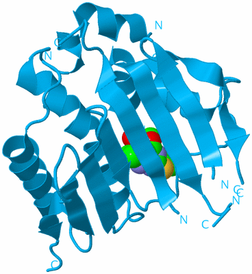 Image Biological Unit 9