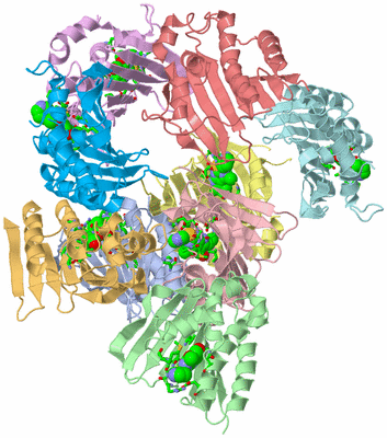 Image Asym. Unit - sites