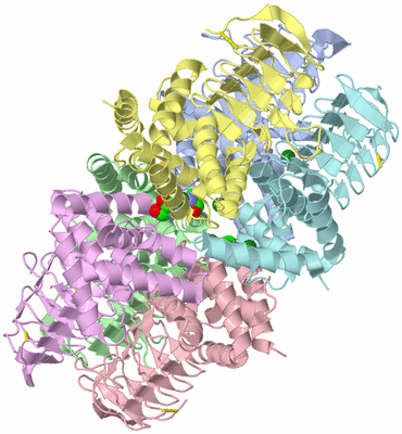 Image Biological Unit 1