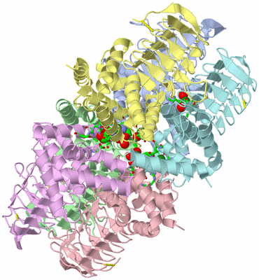 Image Biol. Unit 1 - sites