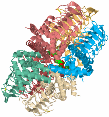 Image Biological Unit 2