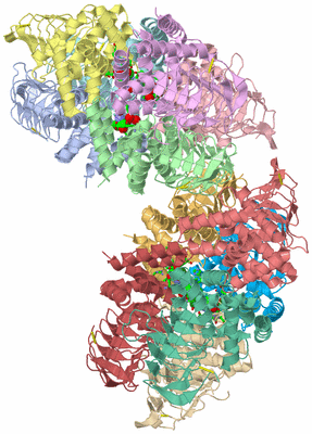 Image Asym. Unit - sites