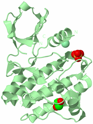 Image Biological Unit 2