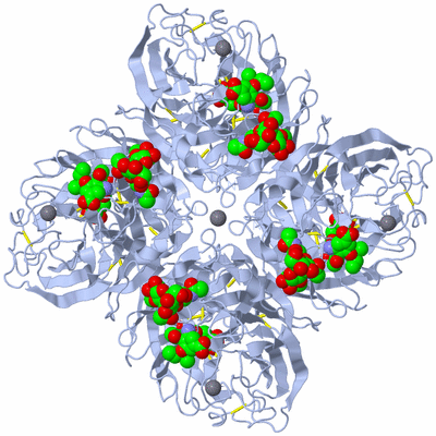 Image Biological Unit 1