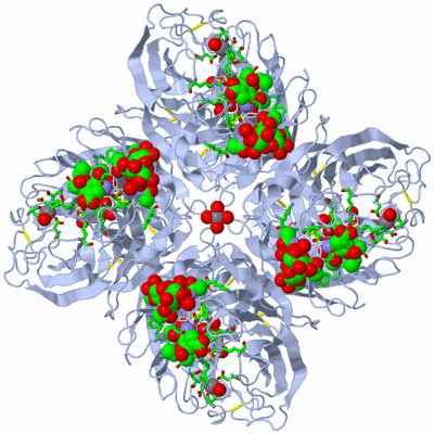 Image Biol. Unit 1 - sites