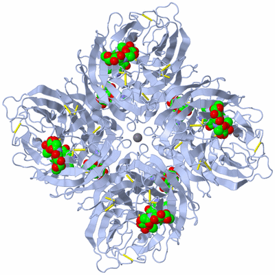 Image Biological Unit 1