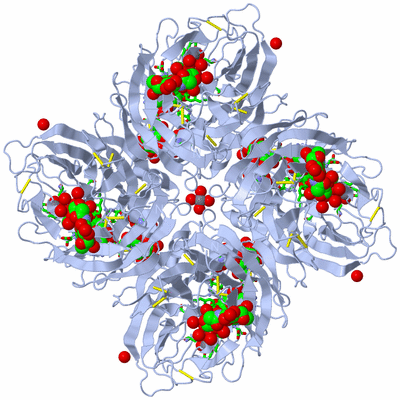 Image Biol. Unit 1 - sites