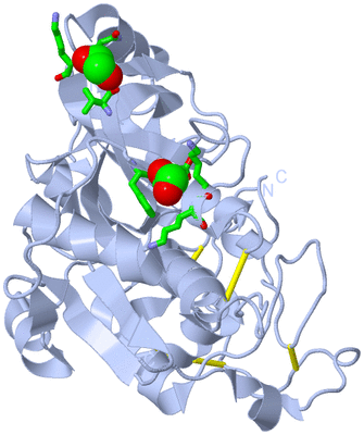 Image Biol. Unit 1 - sites