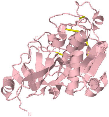 Image Biological Unit 3