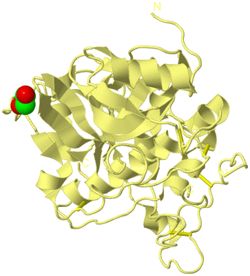 Image Biological Unit 4