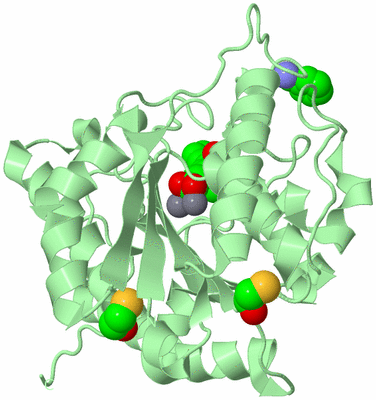 Image Biological Unit 3