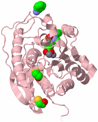 Image Biological Unit 4