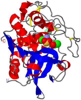 Image Asym./Biol. Unit