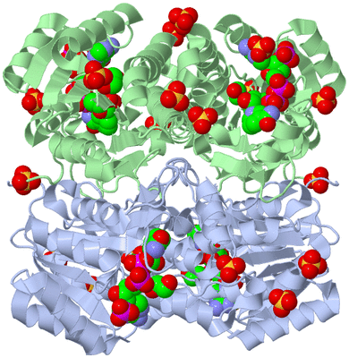 Image Biological Unit 1