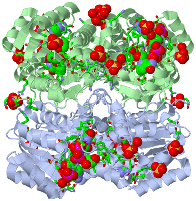 Image Biol. Unit 1 - sites