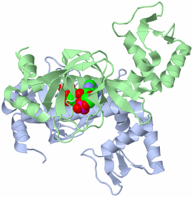Image Asym./Biol. Unit