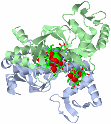 Image Asym./Biol. Unit - sites