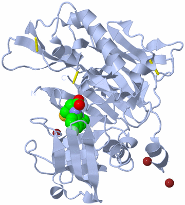 Image Biological Unit 1