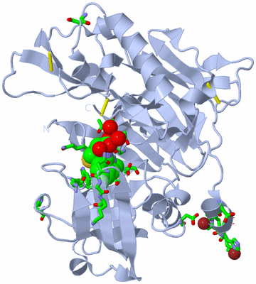 Image Biol. Unit 1 - sites