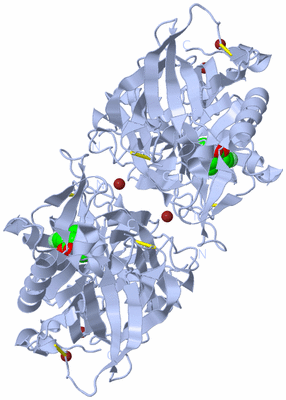 Image Biological Unit 2