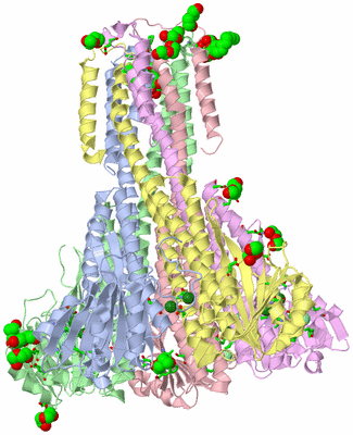 Image Biol. Unit 1 - sites