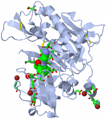 Image Biol. Unit 1 - sites