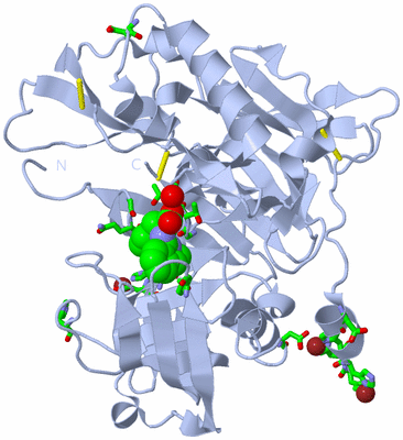 Image Biol. Unit 1 - sites