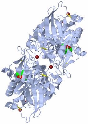 Image Biological Unit 2