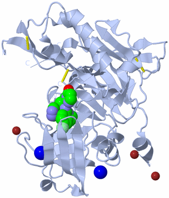 Image Biological Unit 1